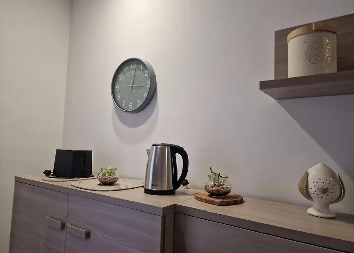 公寓 Francy House 12 *